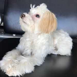 Meet your Posher, Eunice